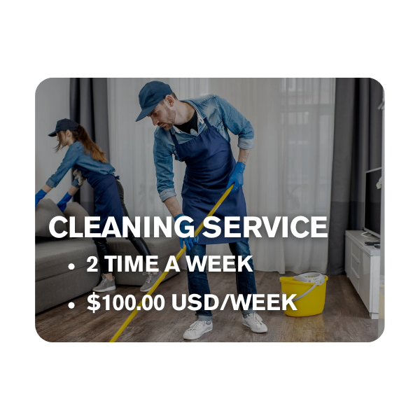Cleaning Service
